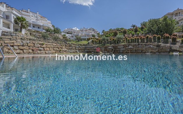Resale - Apartment - Marbella - Nueva Andalucía