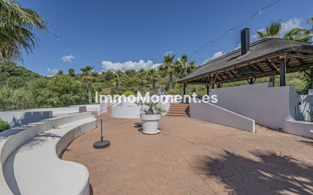 Resale - Apartment - Marbella - Nueva Andalucía