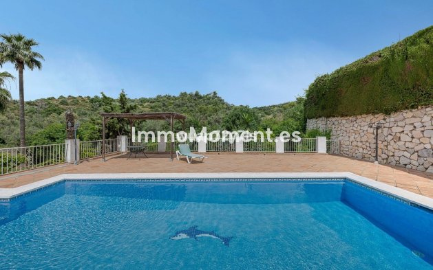 Wiederverkauf - Freistehende Villa - Marbella - El Rosario