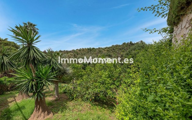 Wiederverkauf - Freistehende Villa - Marbella - El Rosario