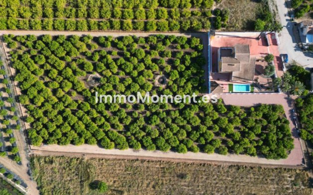 Resale - Detached villa - Orihuela - Orihuela Centro