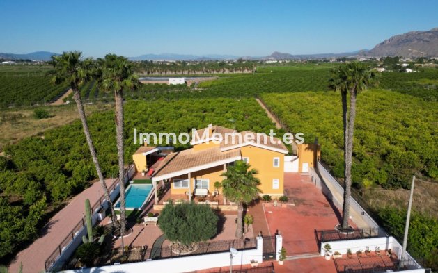 Resale - Detached villa - Orihuela - Orihuela Centro