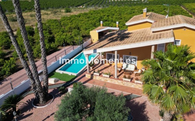 Resale - Detached villa - Orihuela - Orihuela Centro
