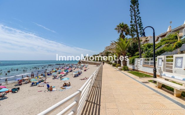 Wiederverkauf - Wohnung - Orihuela - Campoamor