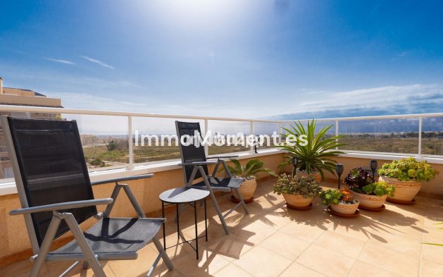 Bestaande woning - Appartement - Orihuela - Villamartin
