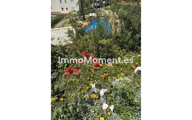 Wiederverkauf - Wohnung - Marbella - Elviria
