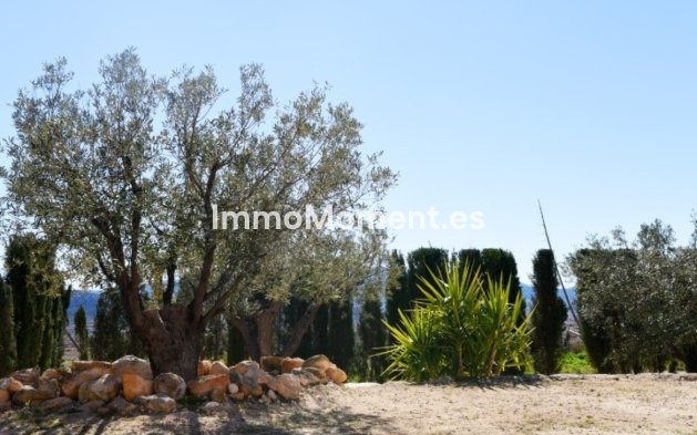 Revente - Villa individuelle - Pinoso - Pinoso Centro