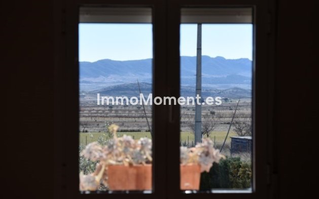 Revente - Villa individuelle - Pinoso - Pinoso Centro