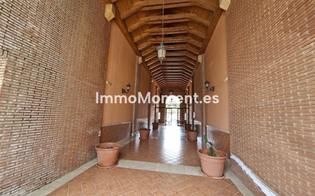 Reventa - Apartamento - Manilva - La Duquesa