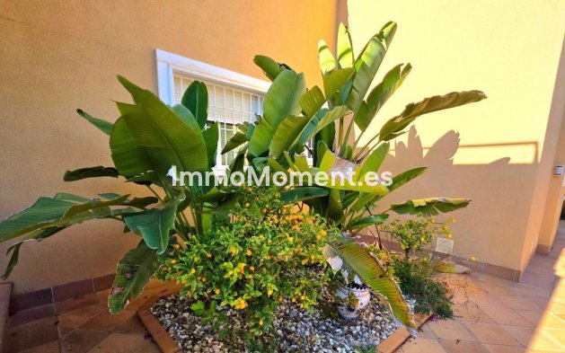 Wiederverkauf - Freistehende Villa - Orihuela - Campoamor