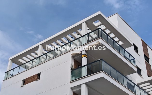 Wiederverkauf - Wohnung - Orihuela - Mil Palmeras