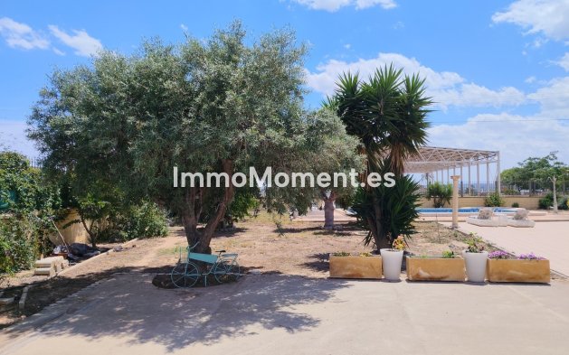 Wiederverkauf - Freistehende Villa - Los Montesinos - Los Montesinos Centro