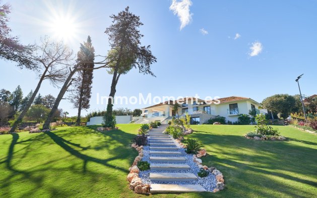 Wiederverkauf - Freistehende Villa - Marbella - San Pedro de Alcántara