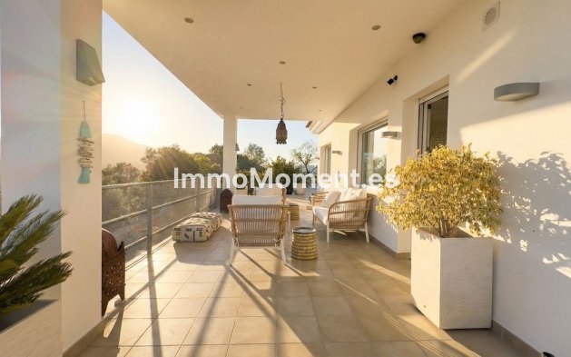 Reventa - Villa independiente - Interior  - Guaro