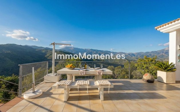 Reventa - Villa independiente - Interior  - Guaro