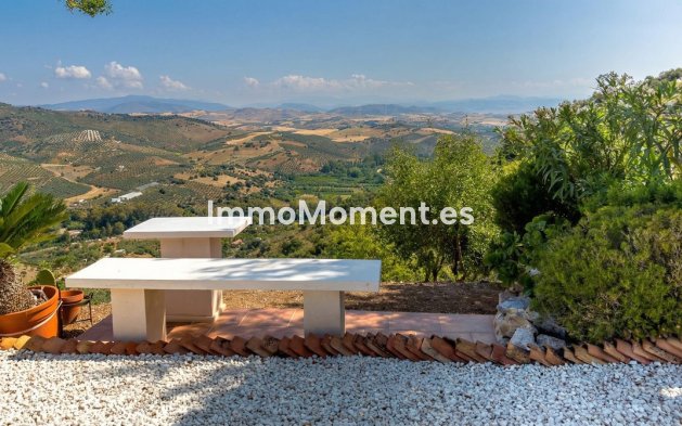 Reventa - Villa independiente - Interior  - Guaro