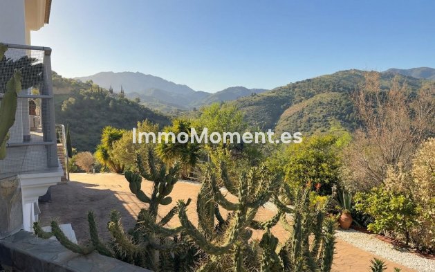 Reventa - Villa independiente - Interior  - Guaro