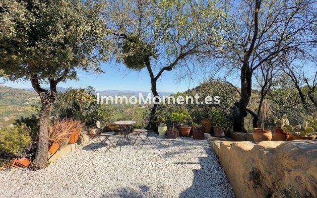 Reventa - Villa independiente - Interior  - Guaro