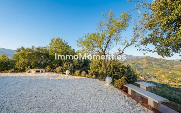 Reventa - Villa independiente - Interior  - Guaro
