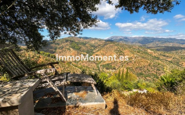 Reventa - Villa independiente - Interior  - Guaro