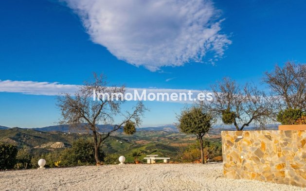 Reventa - Villa independiente - Interior  - Guaro