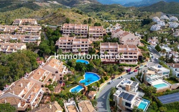 Wiederverkauf - Wohnung - Marbella - Nueva Andalucía