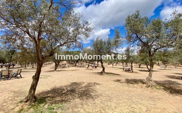 Revente - Appartement - Mijas - La Cala de Mijas