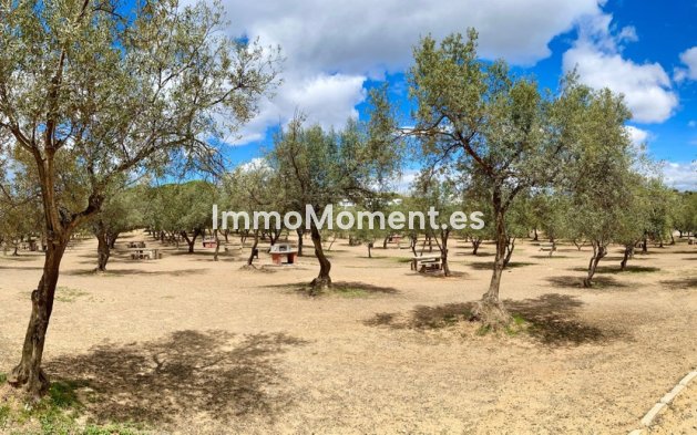 Revente - Appartement - Mijas - La Cala de Mijas