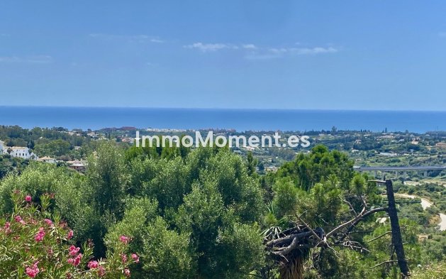 Resale - Detached villa - Estepona - El Padron