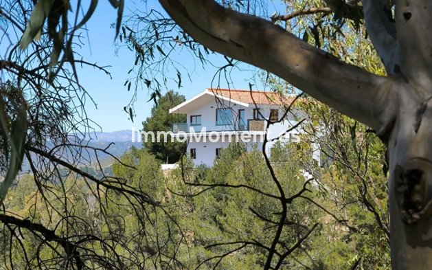 Reventa - Villa independiente - Málaga - Limonar