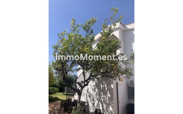 Bestaande woning - Vrijstaande villa - Marbella - San Pedro de Alcántara
