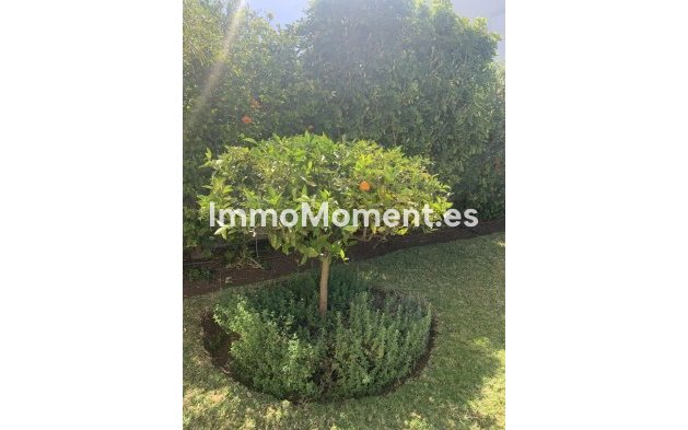 Bestaande woning - Vrijstaande villa - Marbella - San Pedro de Alcántara