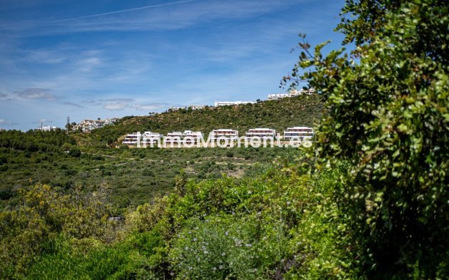 Reventa - Apartamento - Casares - Casares Centro