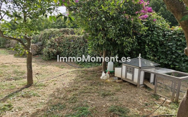 Revente - Maison de campagne - Intérieur                       - Coín