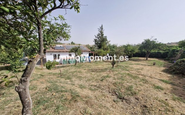 Revente - Maison de campagne - Intérieur                       - Coín
