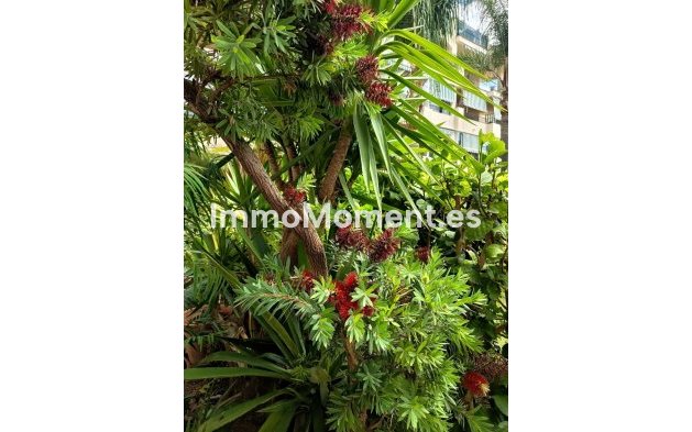 Resale - Apartment - Mijas - La Cala Hills