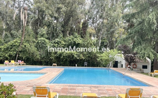 Reventa - Apartamento - Marbella - Nueva Andalucía