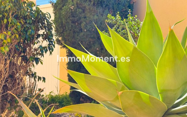 Bestaande woning - Vrijstaande villa - Torrevieja - Torre la mata