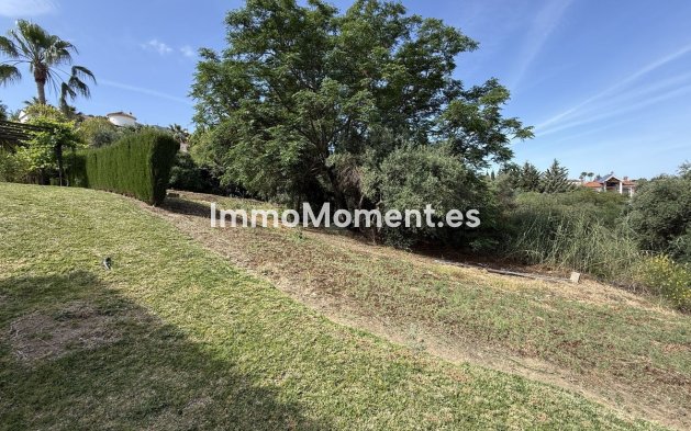 Revente - Maison de campagne - Intérieur                       - Alhaurín el Grande Centro