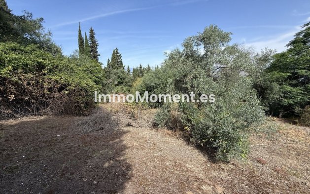 Revente - Maison de campagne - Intérieur                       - Alhaurín el Grande Centro