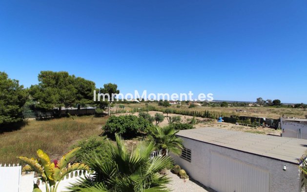 Revente - Villa individuelle - Elche - Elche Centro