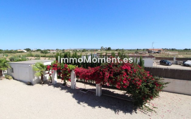 Revente - Villa individuelle - Elche - Elche Centro