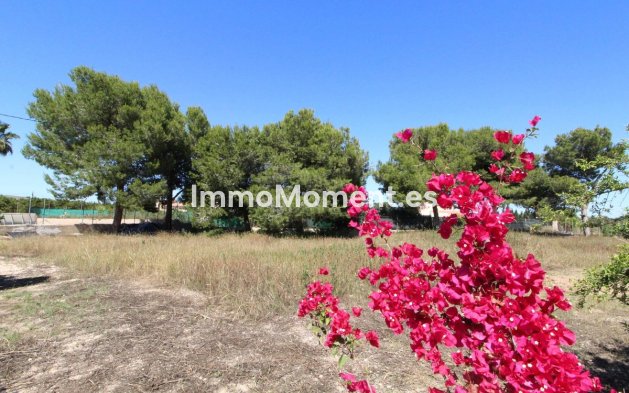 Revente - Villa individuelle - Elche - Elche Centro