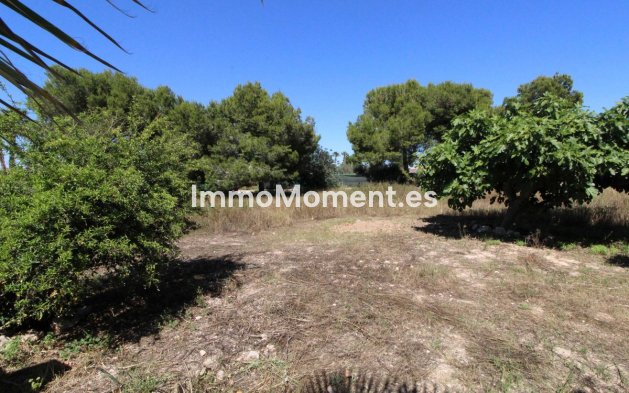 Revente - Villa individuelle - Elche - Elche Centro