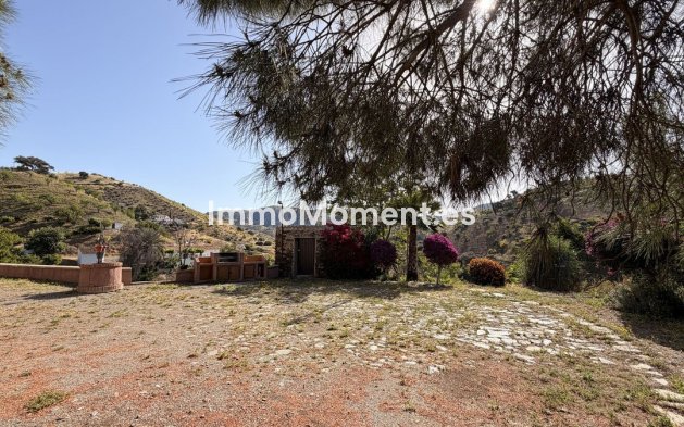 Revente - Maison de campagne - Intérieur                       - Almogía
