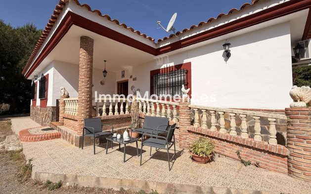 Revente - Maison de campagne - Intérieur                       - Almogía