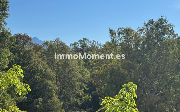 Resale - Apartment - Estepona - Atalaya