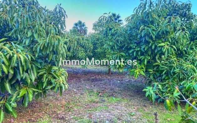 Revente - Maison de campagne - Estepona  - Estepona Centro
