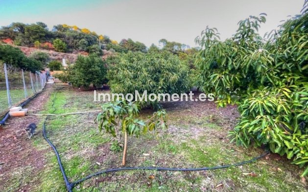 Revente - Maison de campagne - Estepona  - Estepona Centro