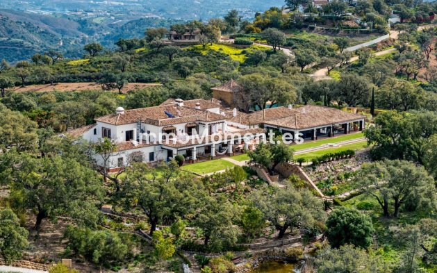 Wiederverkauf - Freistehende Villa - Marbella - La Mairena